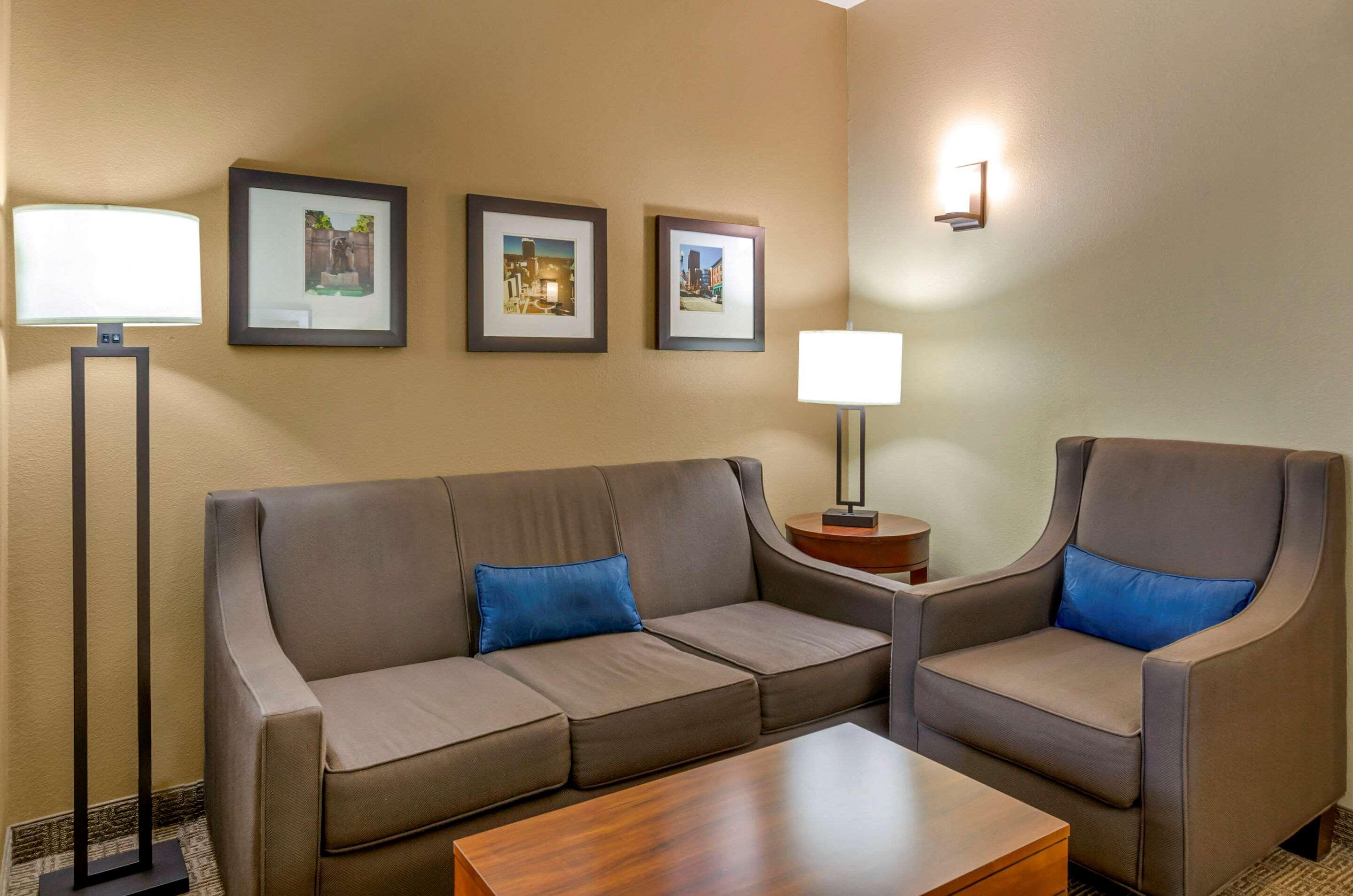 Comfort Inn & Suites Lynchburg Airport - University Area Екстер'єр фото